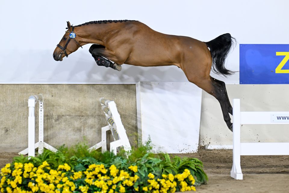 dwe。singAlongDVD1〜12 Briggs & Stratton 190402-1690-XX Parts